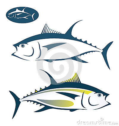 Tuna Fish Stock Image   Image  28390041