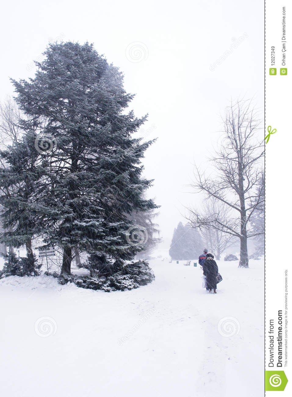Walking In Heavy Snow Royalty Free Stock Images   Image  12027349