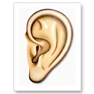 Cartoon Ear Cartoon Right Ear Cartoon Ear Cartoon Ear Cartoon