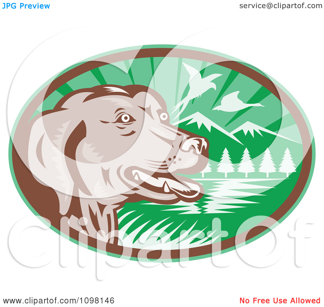 Clipart Retro Chocolate Lab Dog By A Lake With Pheasants Flying In A    