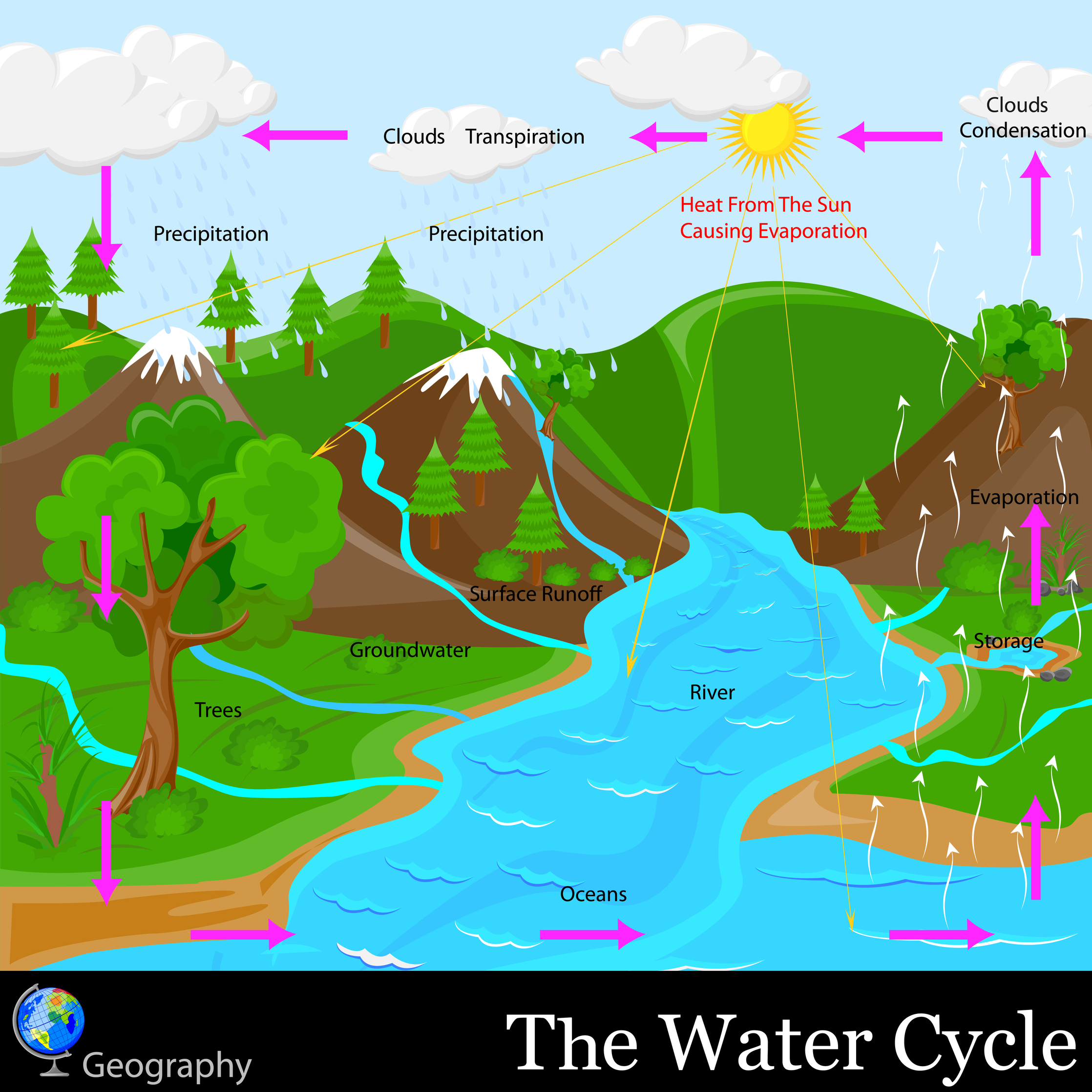 Displaying 16  Images For   Accumulation Water Cycle For Kids