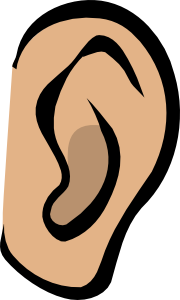 Ear   Body Part Clip Art At Clker Com   Vector Clip Art Online