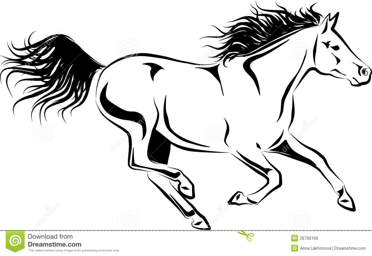 Galloping Horse Royalty Free Stock Images   Image  26766169