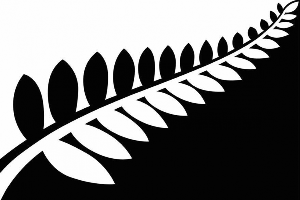 New Zealand Is Voting On A New Flag   And The 4 Designs Have The