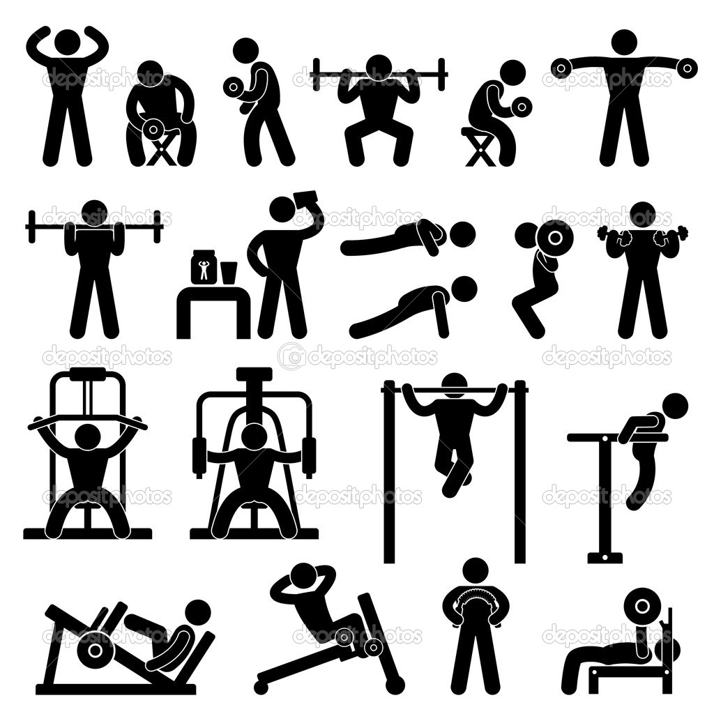 9051085 Gym Gymnasium Body Building Exercise Training Fitness Workout