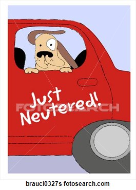 Of Dog In Car Braucl0327s   Search Clip Art Drawings Fine Art