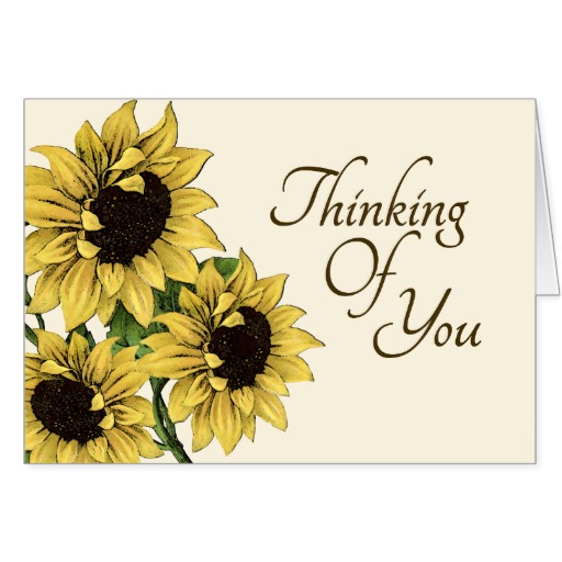 Thinking Of You Clipart Sunflowers Thinking Of You