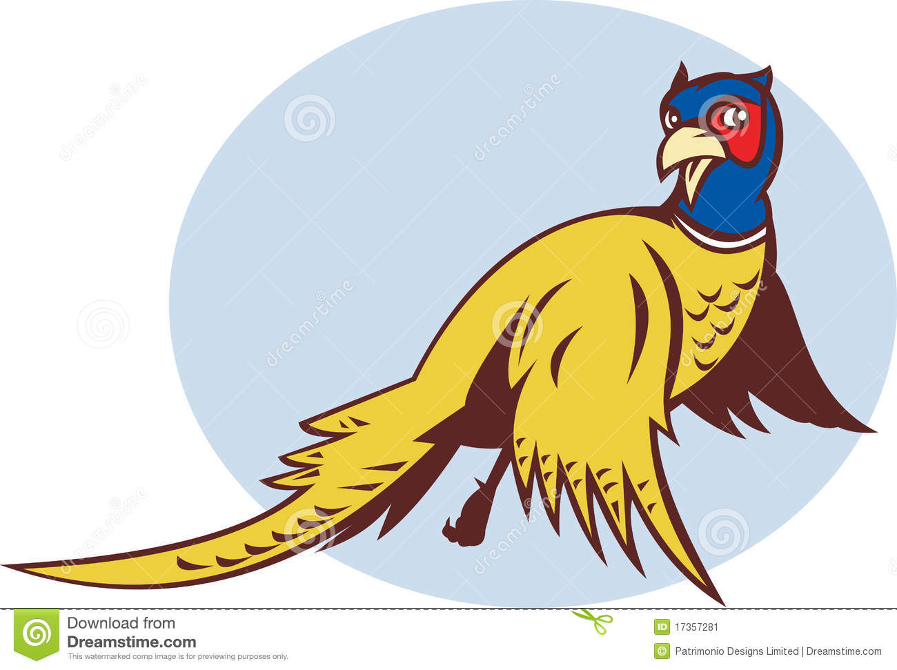 Illustration Of A Cartoon Pheasant Bird Flying Looking Surprised