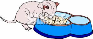 Kitten Eating Food From A Dish   Royalty Free Clipart Picture