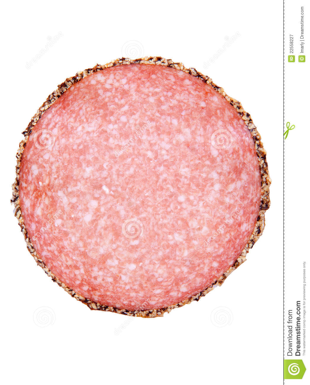 Pepper Salami Slice Royalty Free Stock Photography   Image  22558227