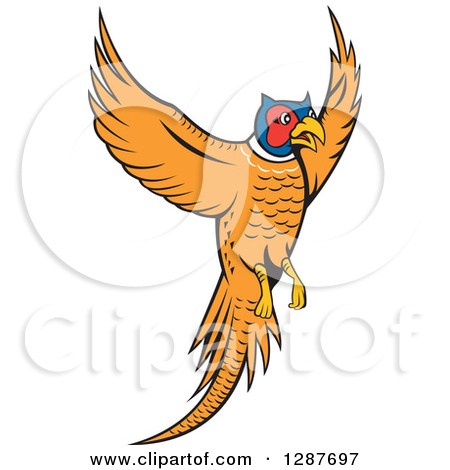 Royalty Free  Rf  Clipart Of Pheasants Illustrations Vector Graphics