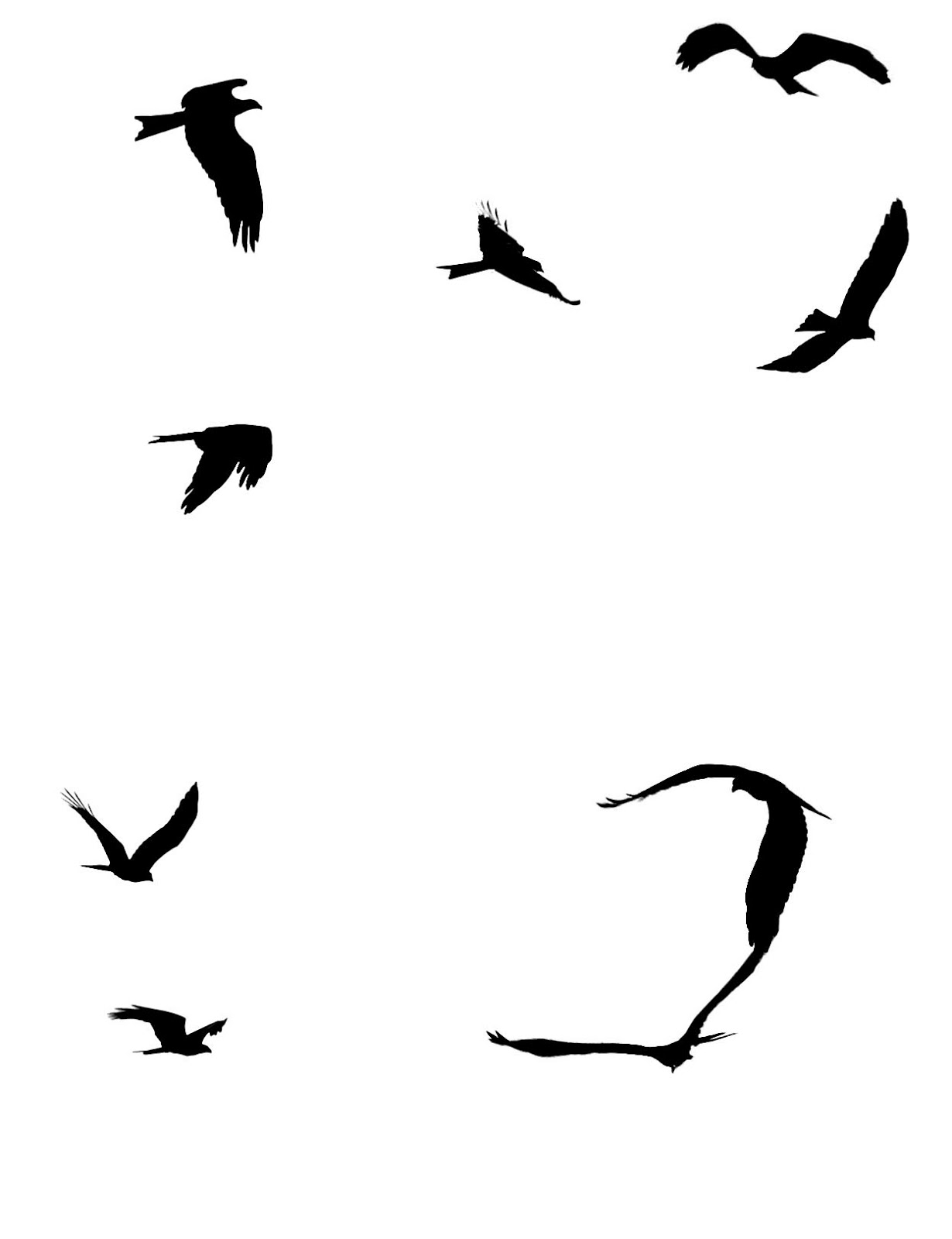 Stock Pictures  Silhouettes Of Birds In Flight