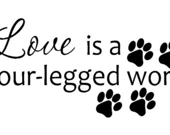      Animal Shelter Saying Quote Wall Sticker Vinyl Decal 47 X 23 1 2