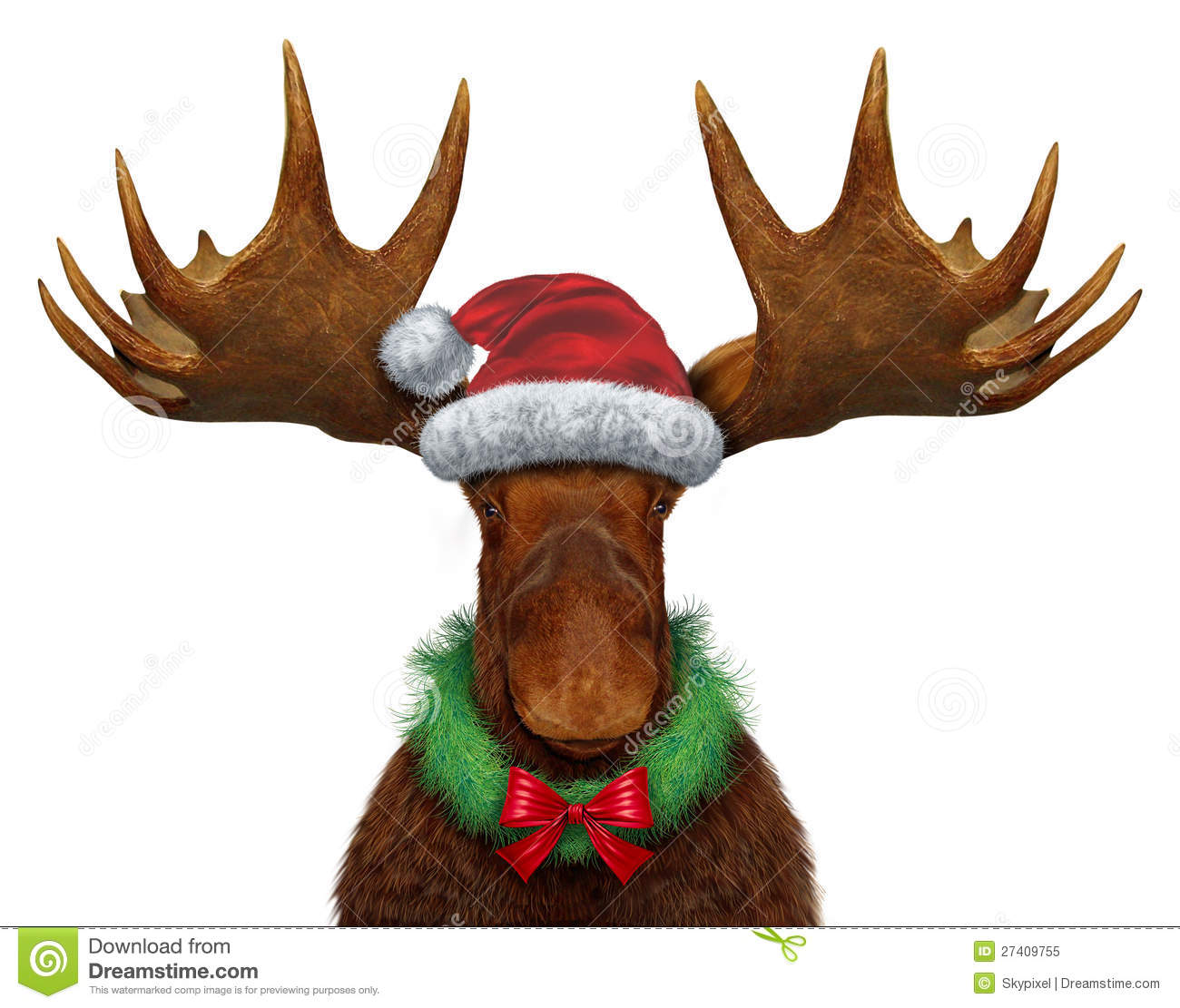Christmas Moose With Santa Claus Hat And A Holiday Wreath With A Red    