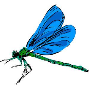 Comdragonfly Clipart Cliparts Of Dragonfly Free Download  Wmf Eps