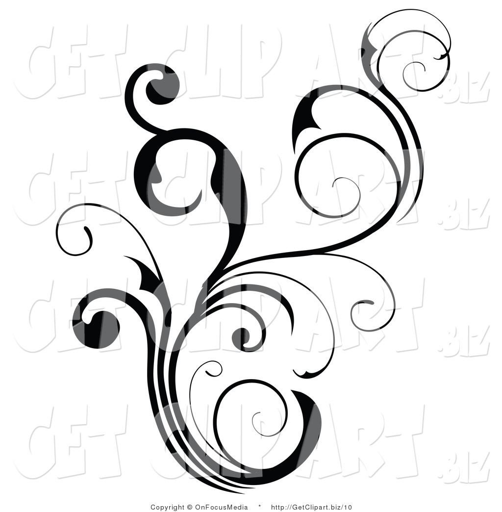 Floral Black Scroll And Flourish Design Element By Onfocusmedia    10