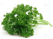 Free Parsley Clipart