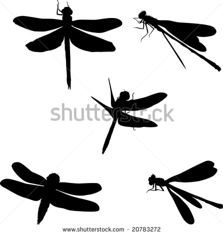 Illustration With Five Dragonfly Silhouettes Isolated On White
