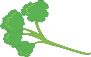 Parsley Clip Art Images Parsley Stock Photos   Clipart Parsley