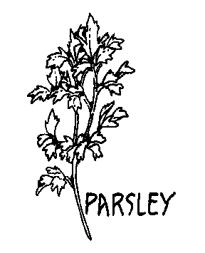 Parsley Clipart Parsley Bw Png