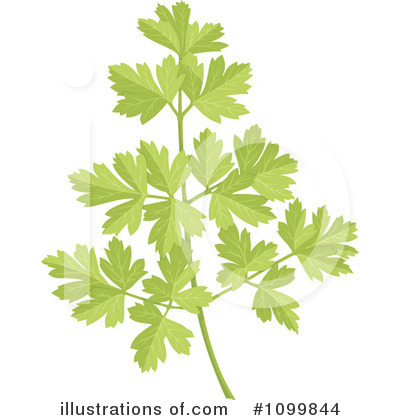 Royalty Free  Rf  Parsley Clipart Illustration By Any Vector   Stock