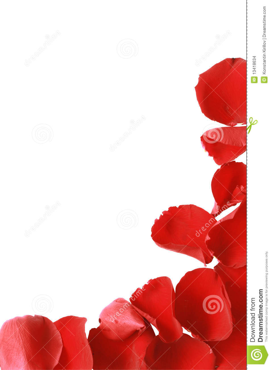 Border Made From Red Rose Petals Isolated On White Background With