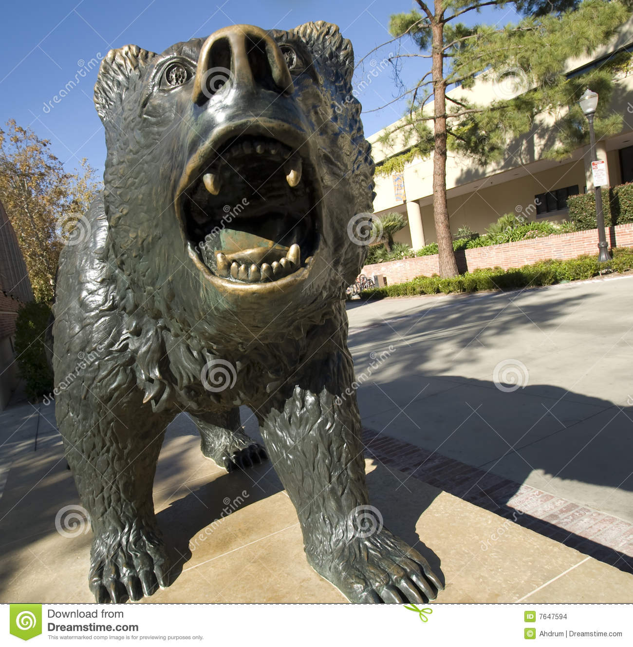 Bruin Bear Clipart Bruin Bear Statue At Ucla