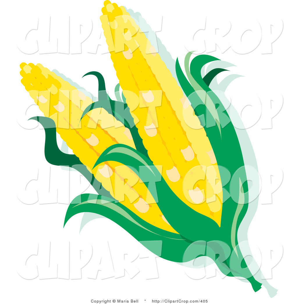 Corn Stalk Http  Wwwpic2flycom Corn Free Clipart