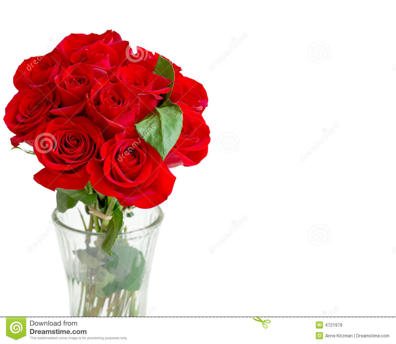 One Dozen Red Roses   A Beautiful Bouquet Of Bright Red Perfect Long