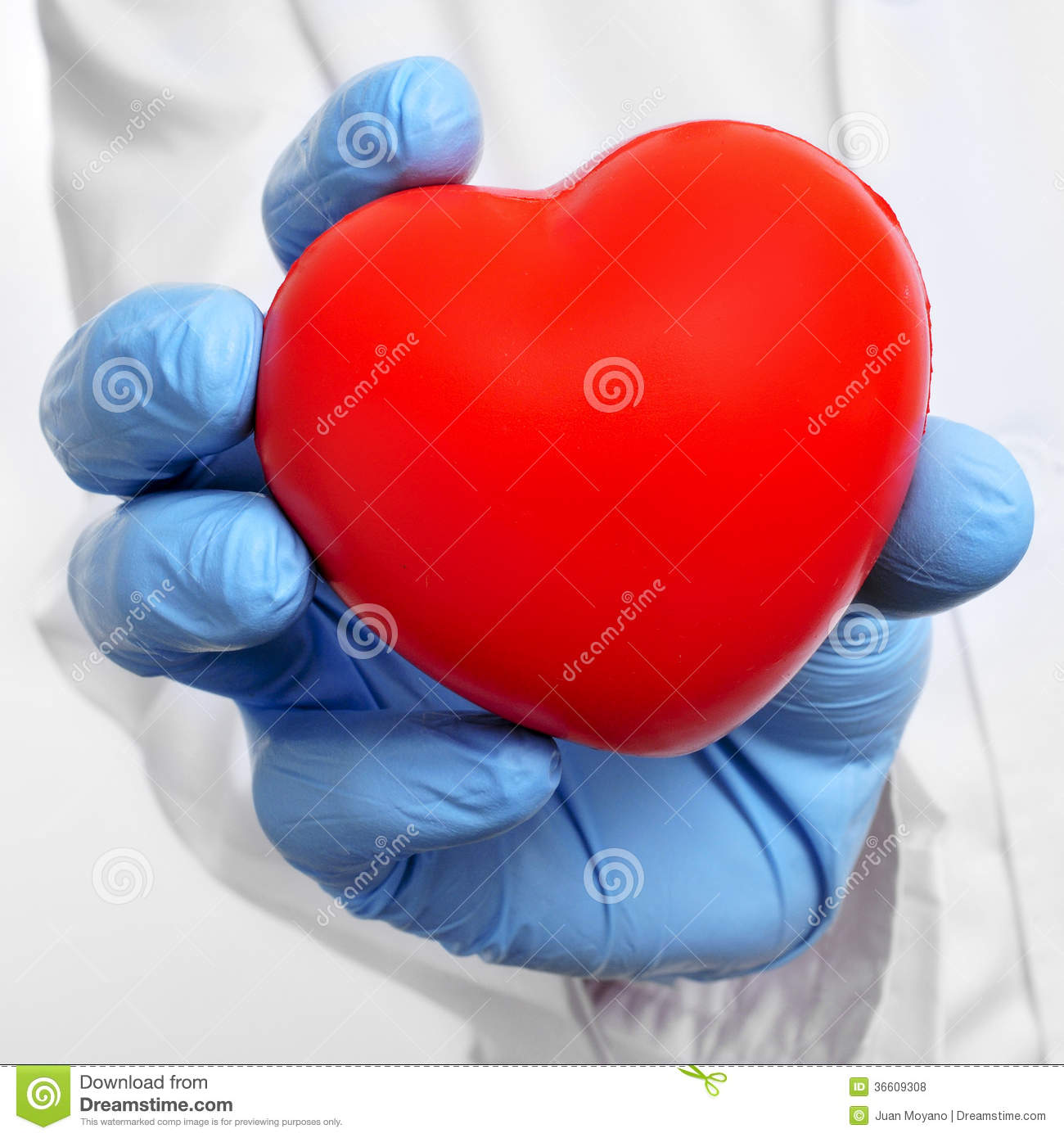 Cardiovascular Health Royalty Free Stock Photos   Image  36609308