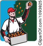 Clipart Retro Male Fruit Picker Picking Oranges From A Tree Royalty