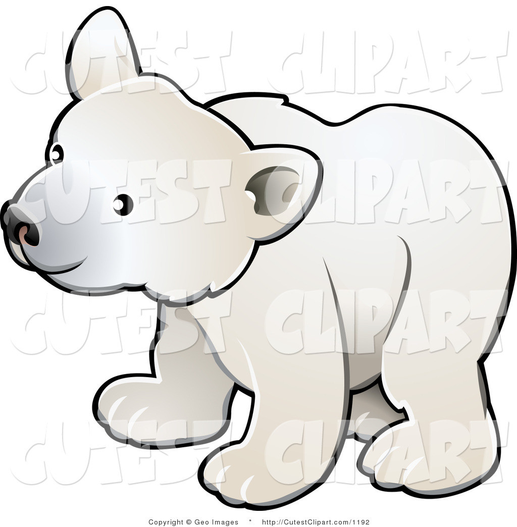 Cute White Arctic Polar Bear Cub Ursus Maritimus Brown Kodiak Bear