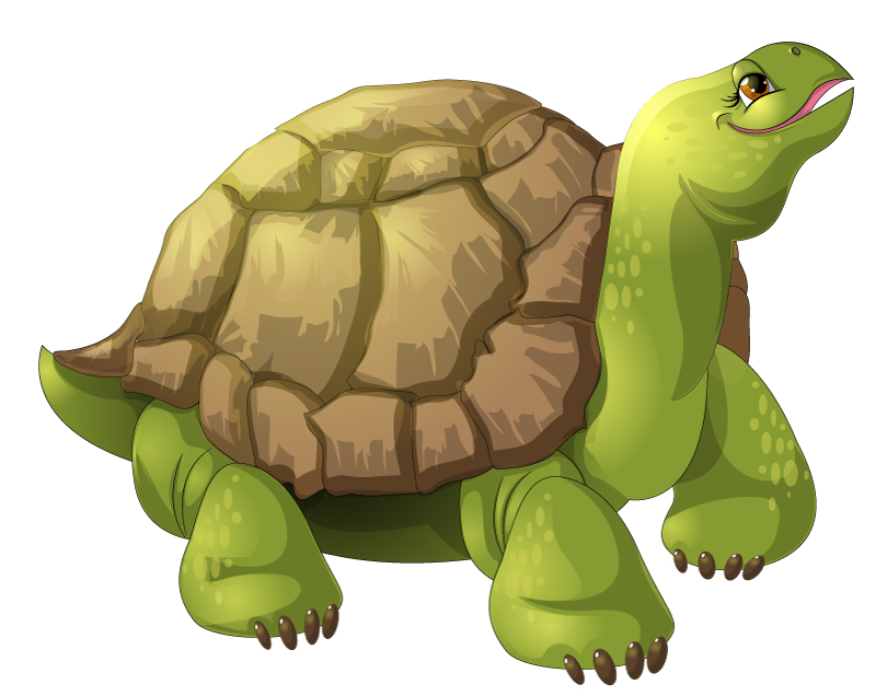 Cartoon Turtle Vector   Free Vector Graphic Download