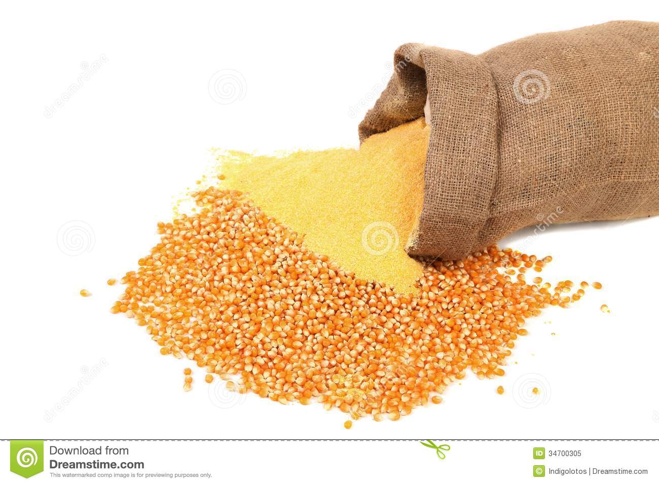 Corn Meal And Grain In Bag Royalty Free Stock Photo   Image  34700305