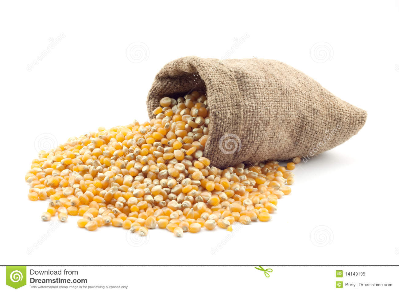 Small Bag Of Corn Royalty Free Stock Photo   Image  14149195