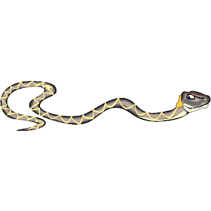 Snake 09 Clipart Cliparts Of Snake 09 Free Download  Wmf Eps Emf