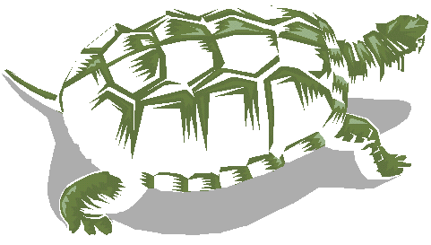 Thursday Oct Pdt Small Outline Free Clipart Items Of Turtle Clipart