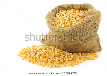 Yellow Corn Grain In A Burlap Bag On A White Background Stock Photo