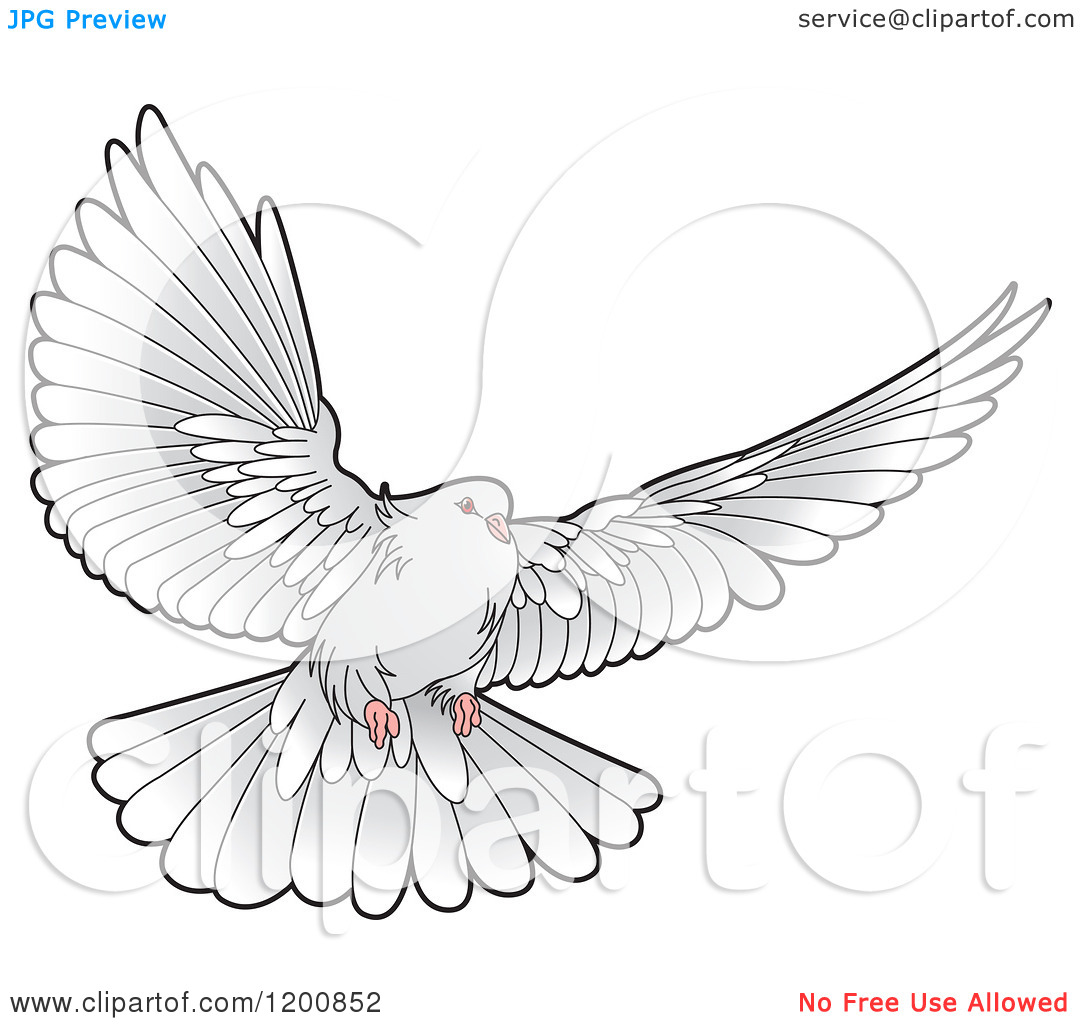 Clipart Of A Grey Dove Flying Royalty Free Vector Illustration