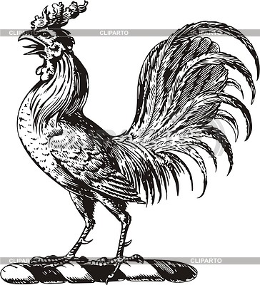 Fighting Rooster Clipart Search Results  Rooster