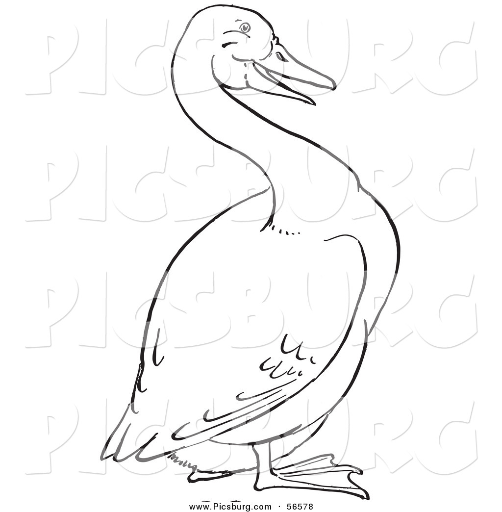 Land Animals Clipart Clip Art Of A Goose On Land