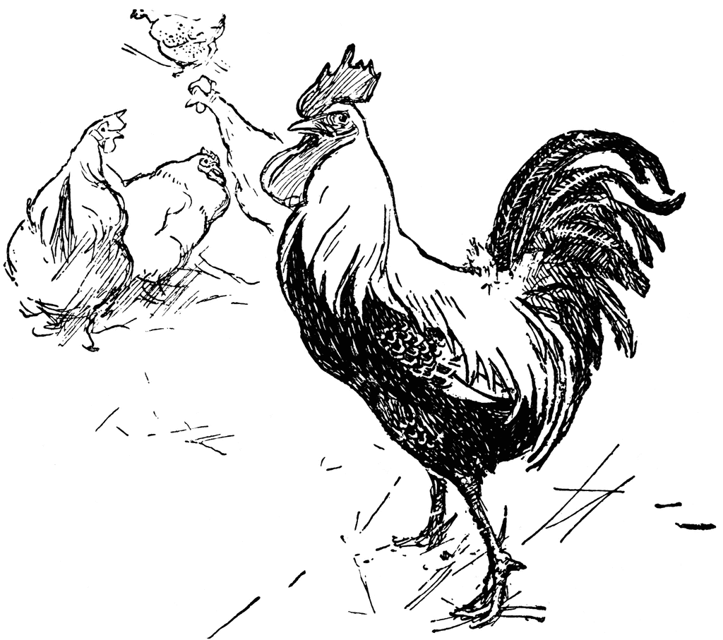 Rooster   Clipart Etc