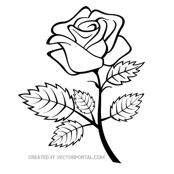 Rose Outline Clipart   Clipart Panda   Free Clipart Images