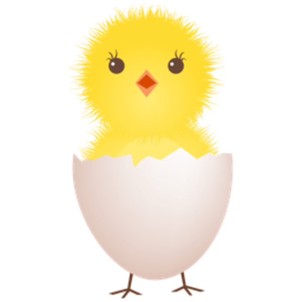 Chicken Egg Shell Icon   Free Images At Clker Com   Vector Clip Art