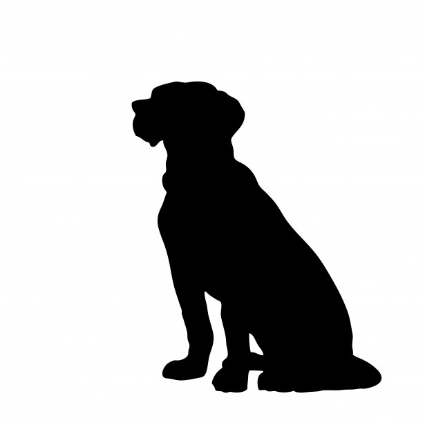 Dog Sitting Black Clipart Free Stock Photo   Public Domain Pictures