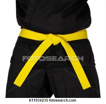 Karate Yellow Belt Tied Around Torso Black Uniform View Large Photo    