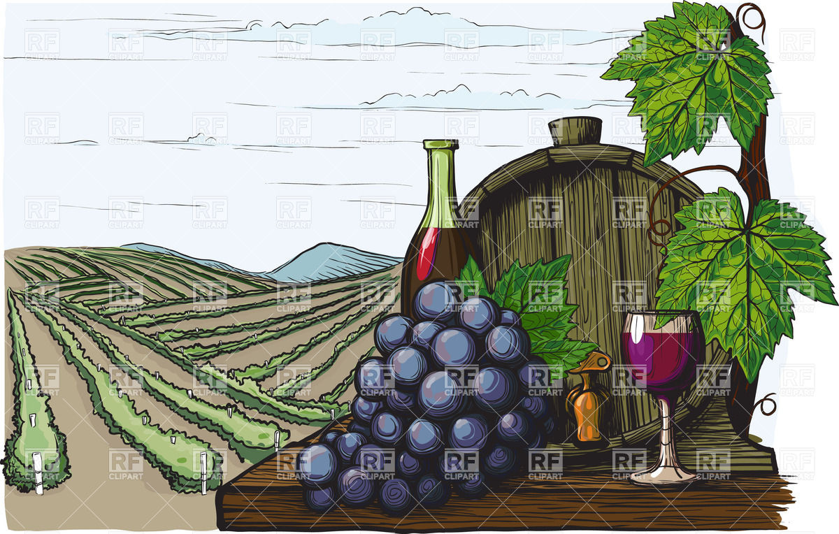 Wine Barrel And Grape 25270 Download Royalty Free Vector Clipart