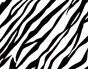 Zebra Print Background   Free Images At Clker Com   Vector Clip Art