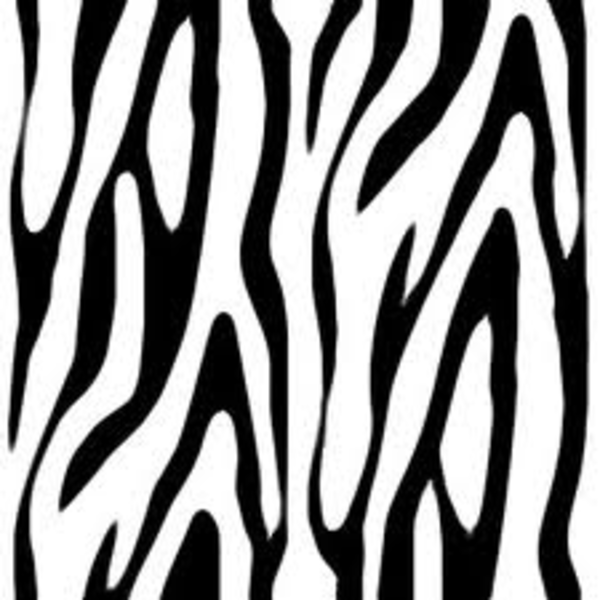Zebra Print   Free Images At Clker Com   Vector Clip Art Online
