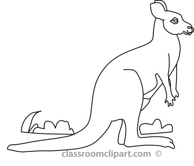 Animals   Kangaroo On Grass 3a Outline   Classroom Clipart